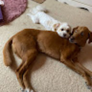 Meet your Posher, Chloe